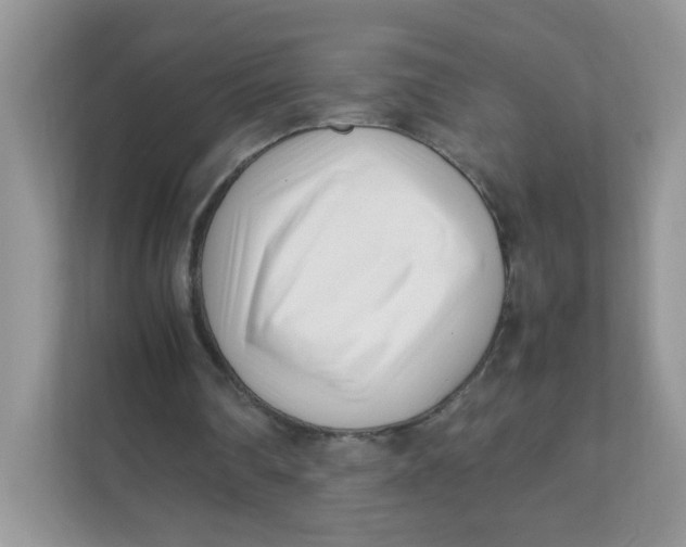 X0000111500290200908041208