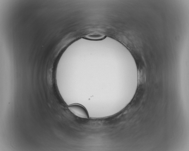 X0000111500291200908041208