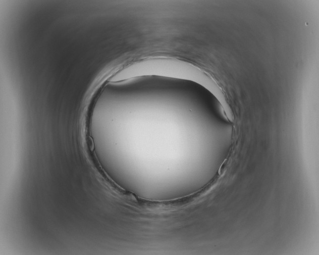 X0000111500293200908041208