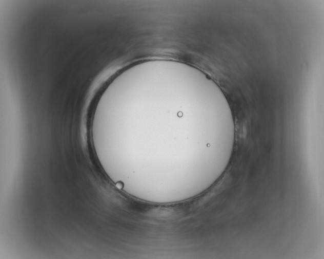 X0000111500294200908041208