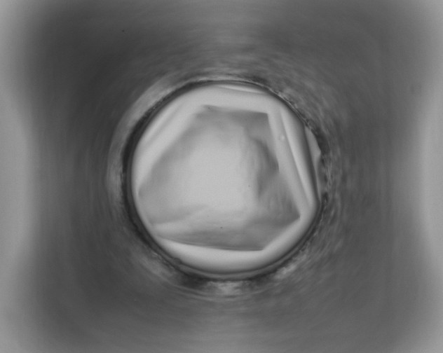 X0000111500295200908041208