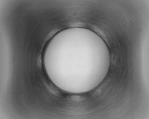 X0000111500298200908041208