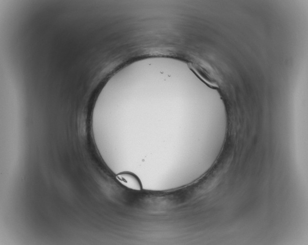 X0000111500299200908041208