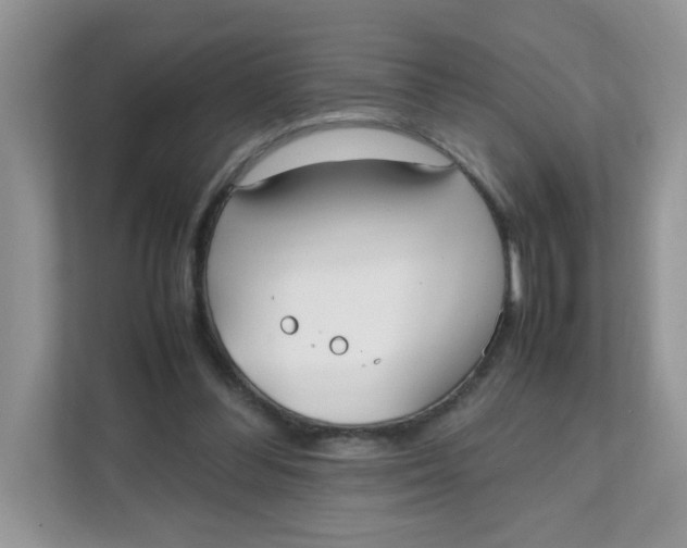 X0000111500300200908041208