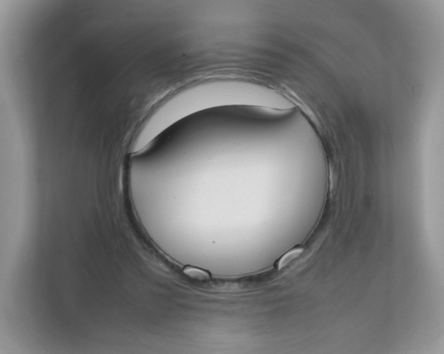 X0000111500301200908041208