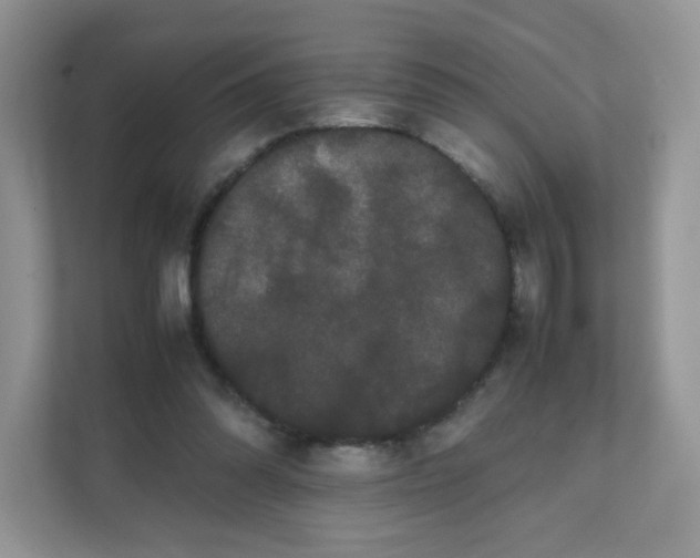 X0000111500302200908041208