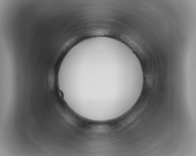 X0000111500304200908041208