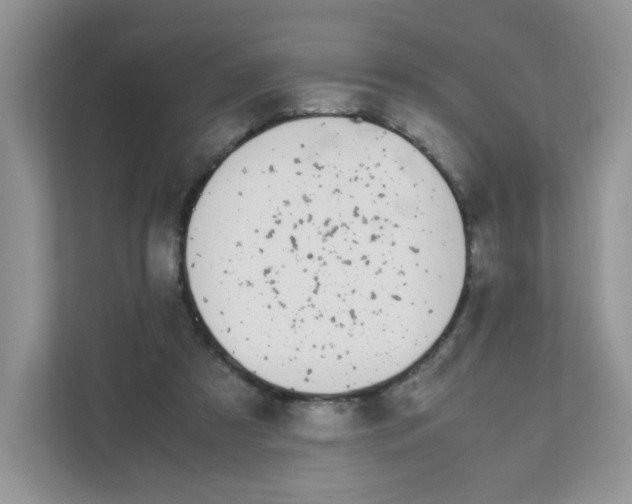 X0000111500305200908041208