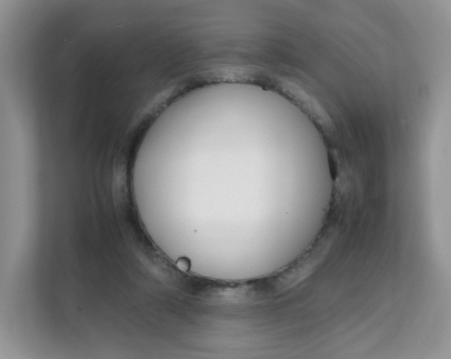 X0000111500306200908041208