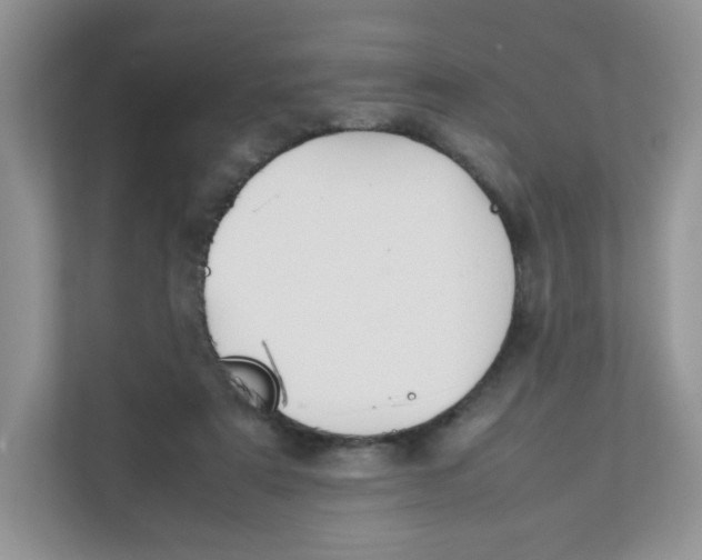 X0000111500307200908041208