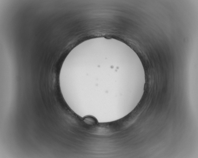 X0000111500308200908041208