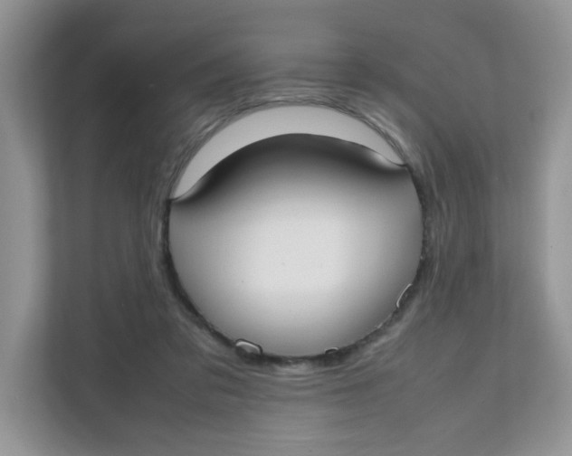 X0000111500309200908041208