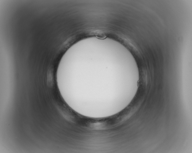 X0000111500312200908041208