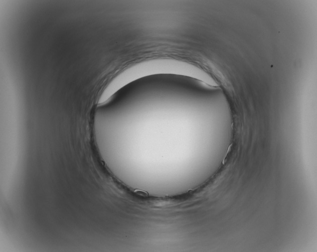 X0000111500313200908041208