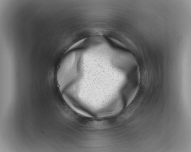 X0000111500314200908041208