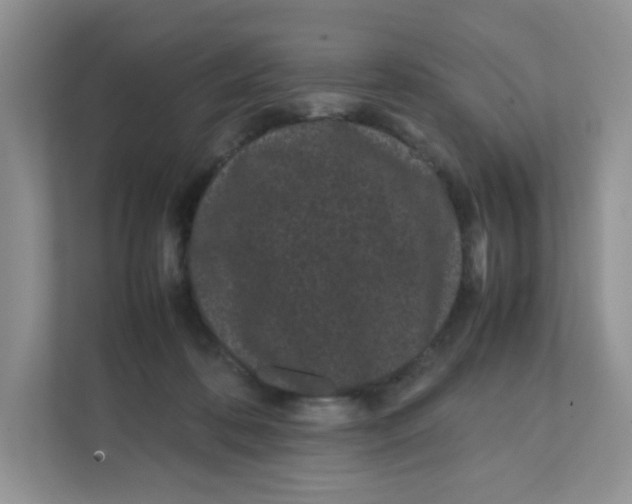 X0000111500316200908041208