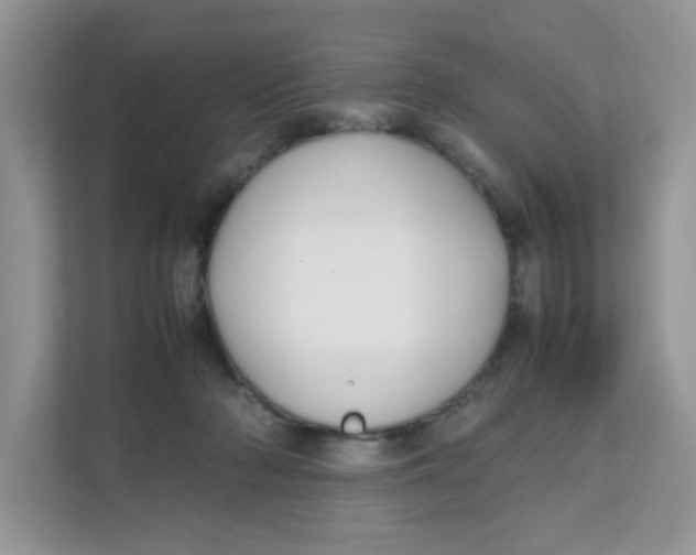 X0000111500318200908041208