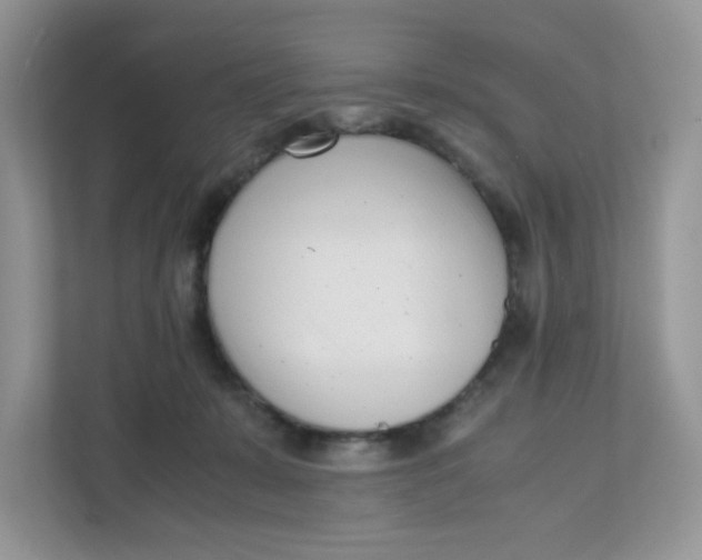 X0000111500319200908041207