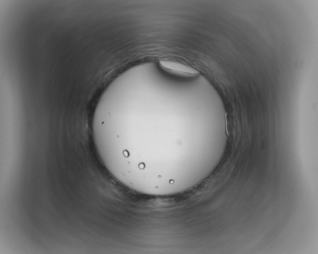 X0000111500320200908041207