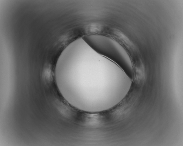 X0000111500324200908041207