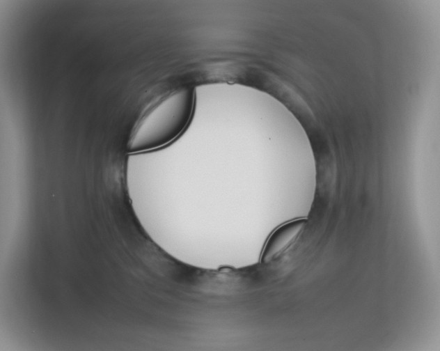 X0000111500329200908041207