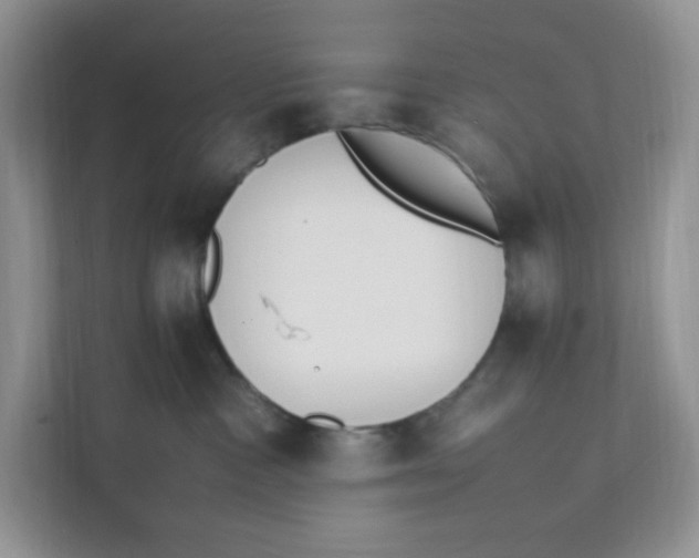 X0000111500333200908041207