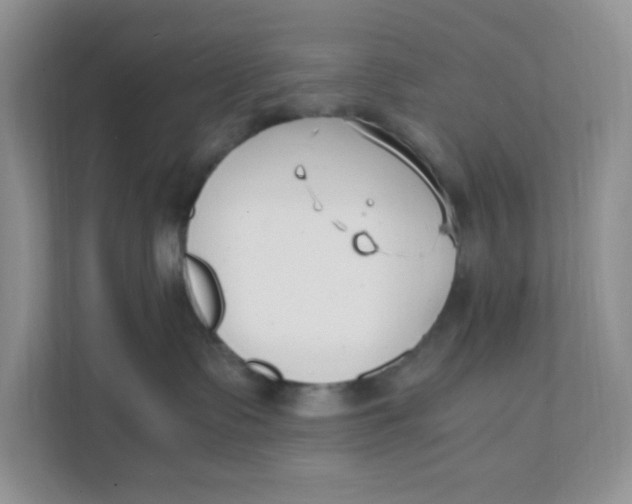 X0000111500335200908041207