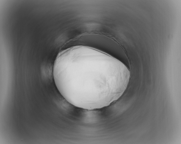 X0000111500336200908041207