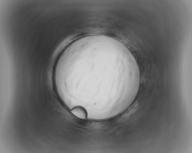 X0000111500341200908041207