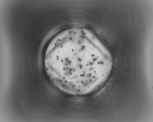 X0000111500343200908041207