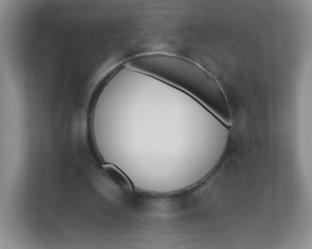 X0000111500344200908041207