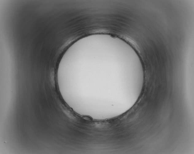 X0000111500345200908041207