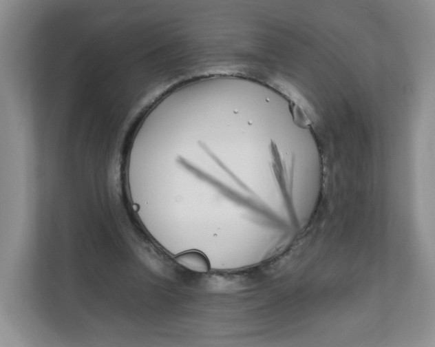 X0000111500346200908041207