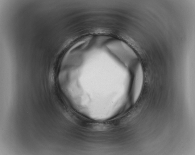 X0000111500347200908041207