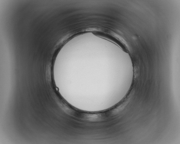 X0000111500349200908041207