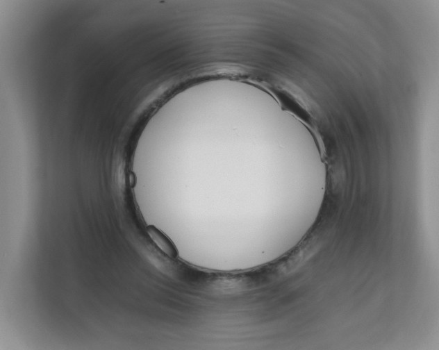 X0000111500350200908041207