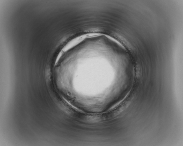 X0000111500351200908041207