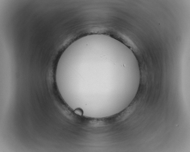 X0000111500354200908041207