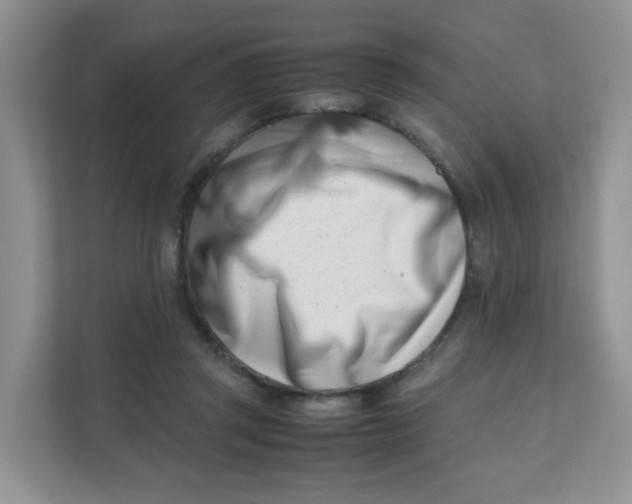 X0000111500357200908041207