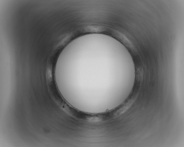 X0000111500358200908041207