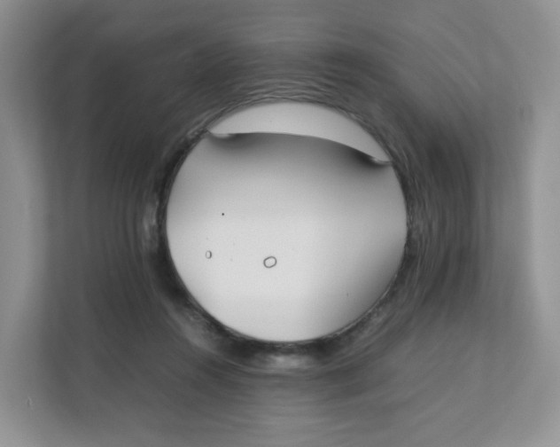 X0000111500360200908041207