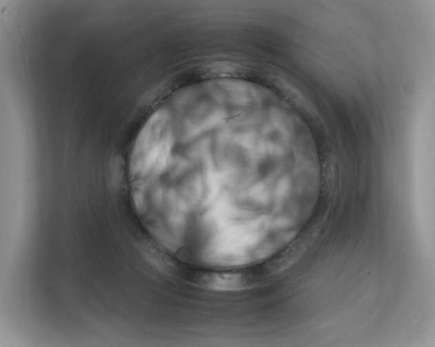 X0000111500361200908041207