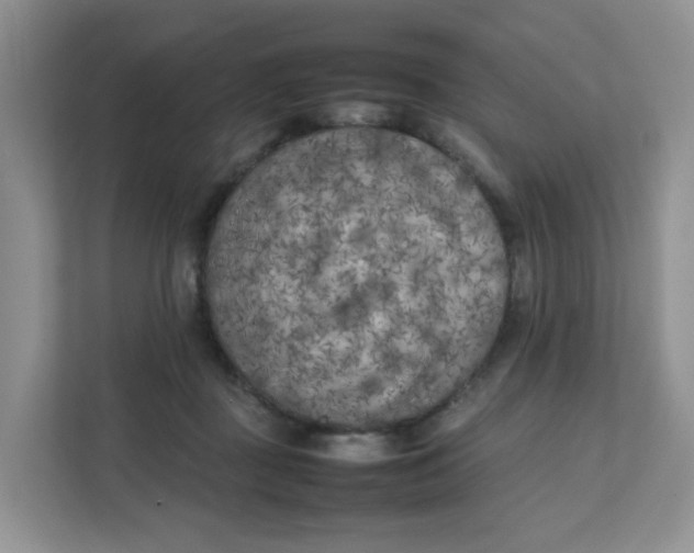 X0000111500363200908041207