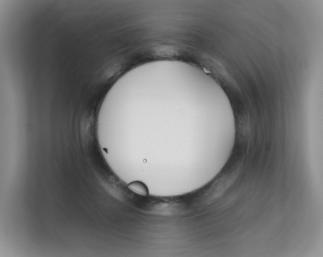 X0000111500364200908041207