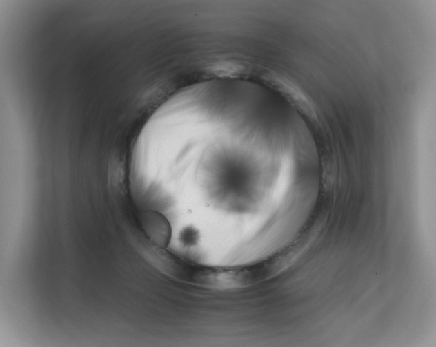 X0000111500365200908041207