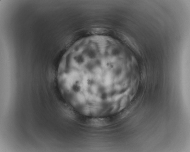 X0000111500367200908041207