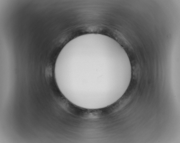 X0000111500368200908041207