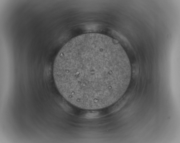 X0000111500369200908041207