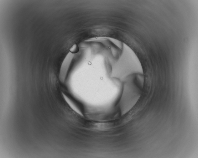 X0000111500371200908041207