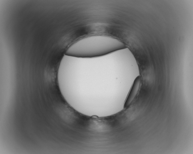 X0000111500372200908041207